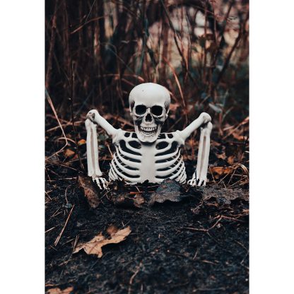 Halloween decoration skeleton 20 cm