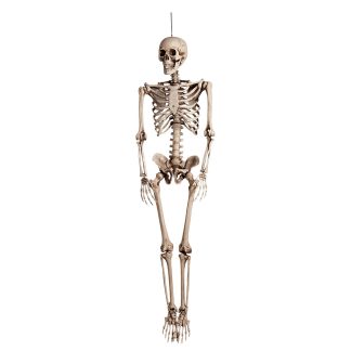 Hanging decoration skeleton Halloween